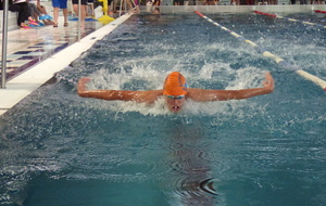 5b24de1dea52d_P1010969.JPG