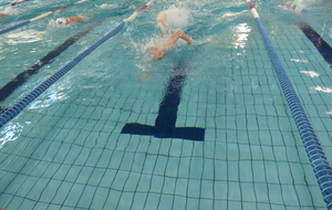 5cabb14d27e8d_P1060673.JPG
