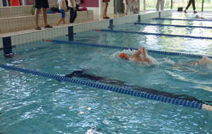5cabb154b1189_P1060680.JPG