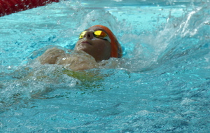 5d0953959c860_P1080984.JPG